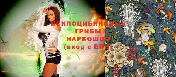 2c-b Нягань