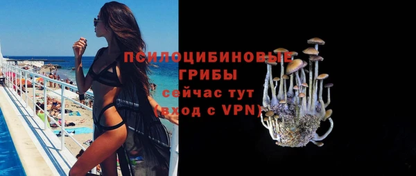 ешки Няндома