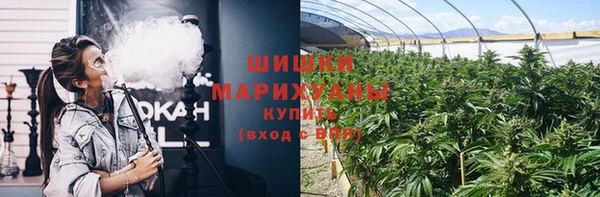 PSILOCYBIN Нязепетровск