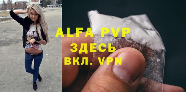 PSILOCYBIN Нязепетровск